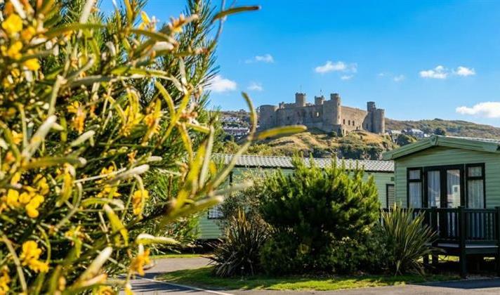 Static Caravan Brands