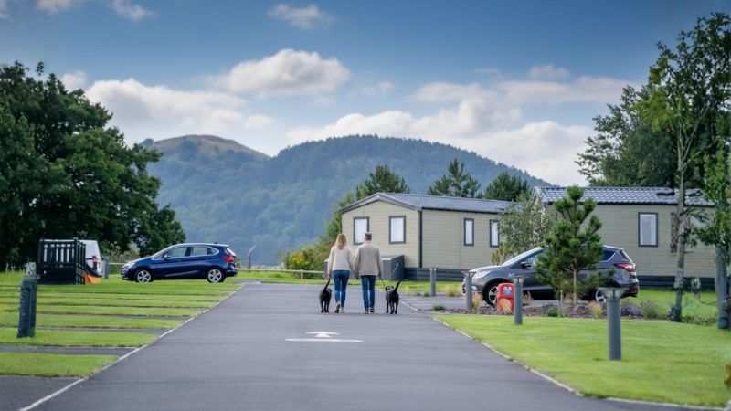 A couple walking their dogs at Green Meadow, Aberystwyth