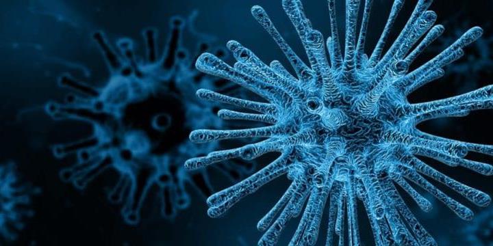 Combating coronavirus by keeping your car sanitised